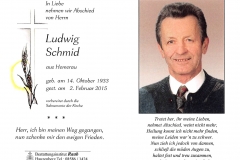 2015-02-02-Schmid-Ludwig-Hemerau-Zillewigg