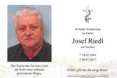2017-07-09-Riedl-Josef-Sonnen