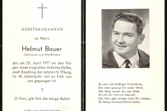 1977-04-22-Bauer-Helmut-Waldkirchen-Steinhauer