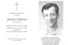 1993-01-18-Schmid-Johann-Bauzing