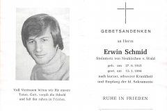 1994-01-15-Schmid-Erwin-Neukirchenv.Wald-Steinmetz