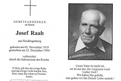 1994-12-22-Raab-Josef-Neidlingerberg