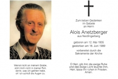 1999-06-18-Anetzberger-Alois-Neidlingerberg-Steinhauer-Dowehans