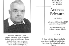 2004-04-18-Schwarz-Andreas-Pisling