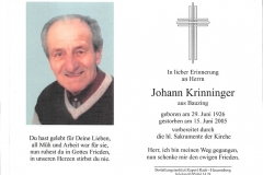 2005-06-15-Krinninger-Johann-Bauzing-Steinhauer