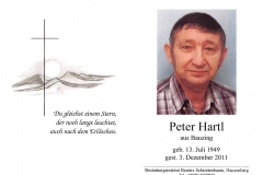 2011-12-03-Hartl-Peter-Bauzing