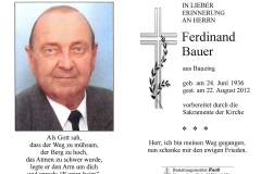 2012-08-22-Bauer-Ferdinand-Bauzing