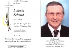 2014-01-08-Schmid-Ludwig-Kaltrum