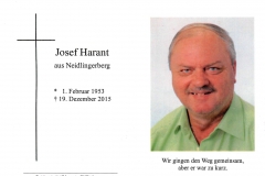 2015-12-19-Harant-Josef-Neidlingerberg