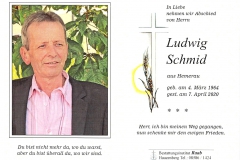 2020-04-07-Schmid-Ludwig-Hemerau