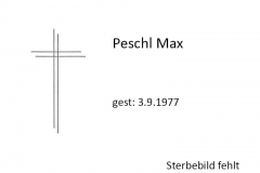 1977-09-03-Peschl-Max