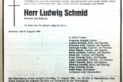 1981-08-08-Schmid-Ludwig-Kaltrum