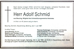 1987-07-01-Schmid-Adolf-Bauzing-Steinhauer