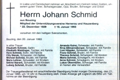 1993-01-18-Schmid-Johann-Bauzing