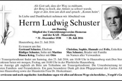 2016-07-20-Schuster-Ludwig-Bauzing